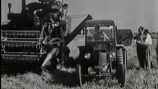 Zemědělství 1955 Československý Filmový týdeník [upl. by Ahsieuqal]