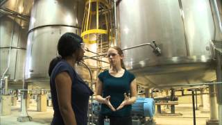 What Does a Chemical Engineer Do  Careers in Science and Engineering [upl. by Lenna]