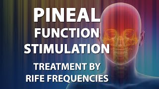 Pineal Function Stimulation  RIFE Frequencies Treatment  Energy amp Quantum Medicine  Bioresonance [upl. by Worthington]