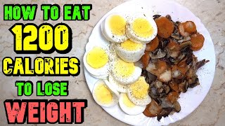 How To Eat 1200 Calories A Day To Lose Weight [upl. by Utas39]