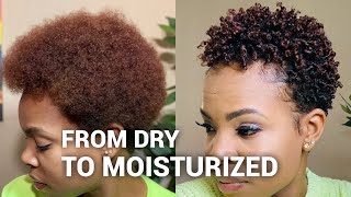 Styling my DRY natural hair  wash and go [upl. by Bradly]