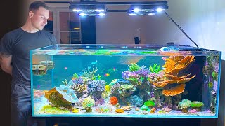 GERMAN REEF TANKS  quotDesigner Shallow Coral Reefquot  800 liter  215 gallon aquarium [upl. by Handbook311]