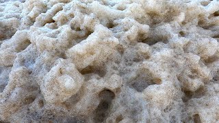 What Is Sea Foam Where Does It Come From [upl. by Hofmann79]