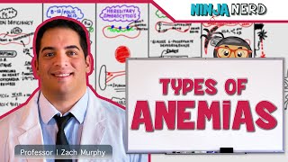 Hematology  Types of Anemias [upl. by Scot]