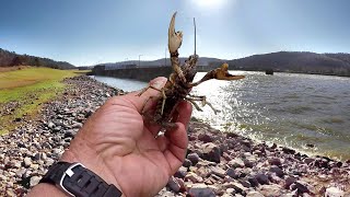 Fishing With Live Crawfish Everything You Need To Know [upl. by Watt]