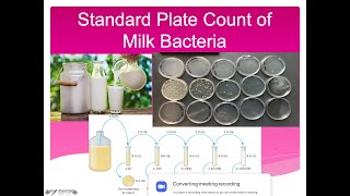 Standard Plate Count of Milk Bacteria Lab [upl. by Myk370]