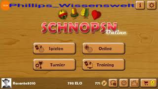 Ich spiele Schnopsn online Kurzer Einblick [upl. by Aramal1]