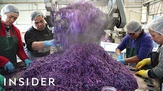 How Sauerkraut Is Made [upl. by Hewes663]