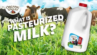 What is Pasteurized milk  Ask Organic Valley [upl. by Loren]