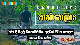 KANNELIYA RAIN FOREST GALLE Travel vlog01 Travel With Salanke [upl. by Aicala]