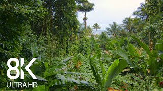 Incredible Jungle Sounds 8K  Exotic Birds Singing in Tropical Rainforest 8 HOURS  Part 1 [upl. by Selohcin]