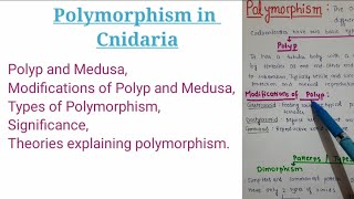 Polymorphism in Cnidaria with theories [upl. by Mettah]