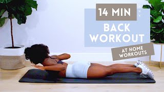 14 MINUTE BACK WORKOUT FOR STRONGER BACK  BETTER POSTURE  NO EQUIPMENT  BEGINNER  INTERMEDIATE [upl. by Arodal566]