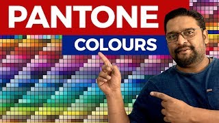 Learn What is Pantone Colour Graphic Design [upl. by Zertnom86]