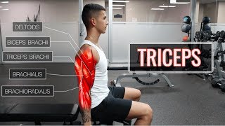 The Best ScienceBased Tricep Workout  ARMS Part 22 [upl. by Desdee]