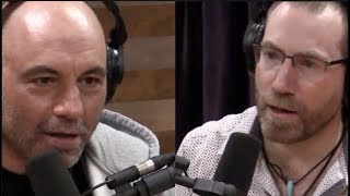 Narco Journalist Details Mexican Drug Cartel History  Joe Rogan [upl. by Beatty]