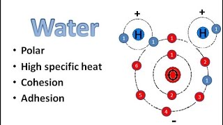 Water Chemistry [upl. by Xanthe]