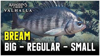 Assassins Creed Valhalla  Bream Fish Locations Big  Regular  Small [upl. by Eelegna]