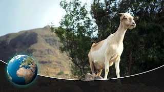 The Cape Verde Islands [upl. by Ahsitahs]