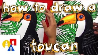 How To Draw A Realistic Toucan [upl. by Gmur55]