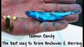 Salmon Candy The Best Way to Brine Anchovies amp Herring [upl. by Gaby]