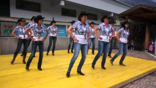 Celtic Kittens line dance [upl. by Evyn]