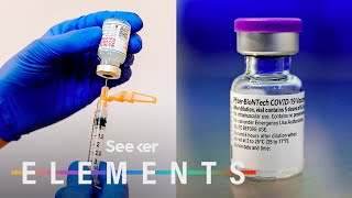 What’s In the Pfizer amp Moderna COVID Vaccines [upl. by Touber10]