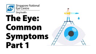 Common Eye Symptoms Part 1 Blurred Vision Cloudy Vision Halos and Glare [upl. by Uria480]