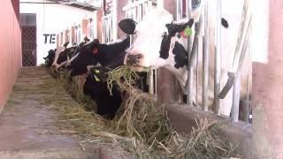 Carrera de Medicina Veterinaria y Zootecnia  UNL Documental [upl. by Oralla212]