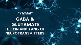 Neurotransmitters and Mood GABA amp Glutamate [upl. by Mccarthy]