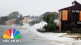 What To Expect From A Category 4 Hurricane  101  NBC News [upl. by Gaw728]