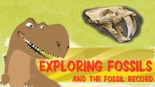 Exploring Fossil Records How Fossils Are Formed [upl. by Eelytsirk460]