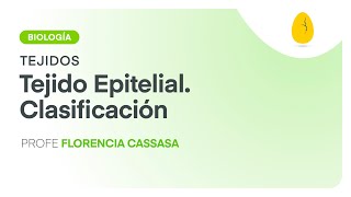 Tejido Epitelial  Clasificación  Biología  Tejidos  V4  Egg Educación [upl. by Annhej128]