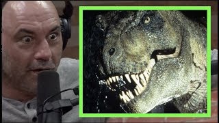 Joe Rogan  The Mysteries of the TREX [upl. by Ainollopa]