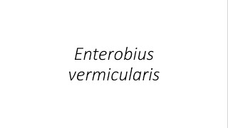 Enterobius vermicularis  Parasitology [upl. by Wasserman]