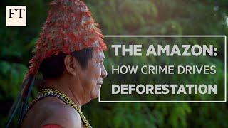 Brazils Amazon rainforest how crime drives deforestation  FT Features [upl. by Lusa]