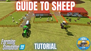 GUIDE TO SHEEP  Farming Simulator 22 [upl. by Lory]