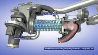 BorgWarner EGR System for Passenger Vehicle Applications [upl. by Honebein]