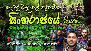 A night at Sinharaja Rainforest  Sri Lanka  Sinharaja Camping Adventures  VLOG 013 [upl. by Sukram]