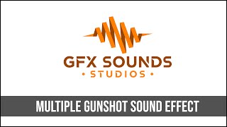 Multiple Gunshot Sound Effect [upl. by Ecitsuj]