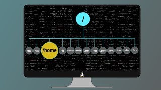 05 Linux Root Folders Explained [upl. by Oliy685]