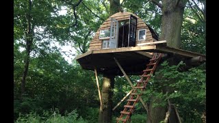 Building a Tree House in the Woodlands [upl. by Emlin456]