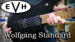 EVH Wolfgang Standard Restring [upl. by Ellenej]