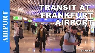 TRANSIT WALK AT FRANKFURT Airport FRA Terminal 1  Connection Flight Transfer Arriving amp Departing [upl. by Adnihc599]