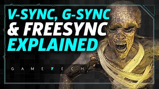 Refresh Rate VSync GSync and FreeSync PC Graphics Settings Explained [upl. by Edals]