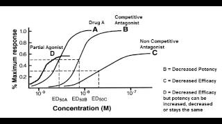 Receptor Binding Graph  Competitive amp Noncompetitive Antagonist Partial Agonist [upl. by Olivie]