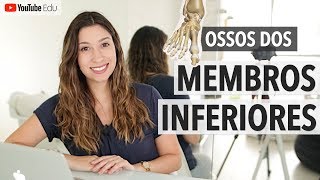 Ossos dos Membros Inferiores Sistema Esquelético 45  Anatomia etc [upl. by Amelita]