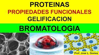 BROMATOLOGIA Propiedades Funcionales proteína gelificación [upl. by Byran]