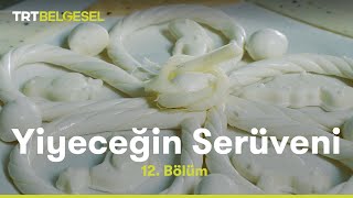 Peynir  Yiyeceğin Serüveni  TRT Belgesel [upl. by Ahsilav]