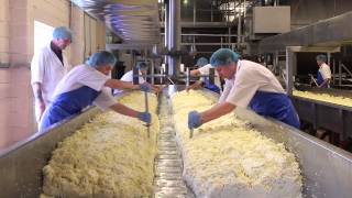 Cheese Making Process [upl. by Falzetta]